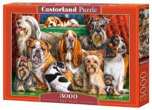 DOG CLUB CASTORLAND 3000 