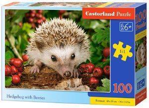 HEDGEHOG WITH BERRIES CASTORLAND 60 