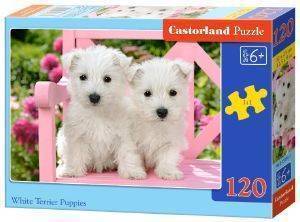 WHITE TERRIER PUPPIES CASTORLAND 120 ��������