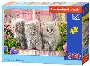 THREE GREY KITTENS CASTORLAND 260 