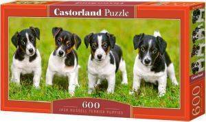 JACK RUSSELL TERRIER PUPPIES CASTORLAND 600 ΚΟΜΜΑΤΙΑ JACK RUSSELL TERRIER PUPPIES CASTORLAND 600 ΚΟΜΜΑΤΙΑ