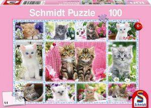  SCHMIDT 100  [56135]