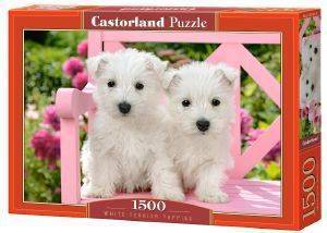 WHITE TERRIER PUPPIES CASTORLAND 1500 ��������