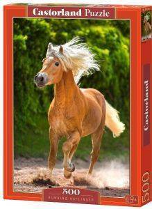 RUNNING HAFLINGER CASTORLAND 500 