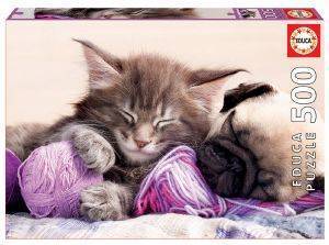 DREAM COMPANIONS EDUCA 500 ��������