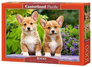 WELSH CORGI PUPPIES CASTORLAND 1000 