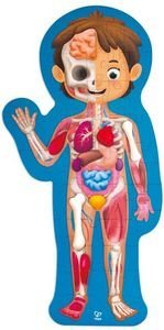 ΞΥΛΙΝΟ ΠΑΖΛ ΜΑΘΑΙΝΩ ΤΟ ΑΝΘΡΩΠΙΝΟ ΣΩΜΑ HAPE HUMAN BODY PUZZLE ΞΥΛΙΝΟ ΠΑΖΛ ΜΑΘΑΙΝΩ ΤΟ ΑΝΘΡΩΠΙΝΟ ΣΩΜΑ HAPE HUMAN BODY PUZZLE