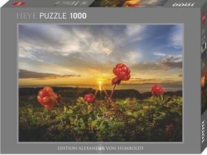 CLOUDBERRIES AVH HEYE 1000  [30016]