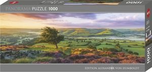 PURPLE BLOOM AVH HEYE 1000  [30017]