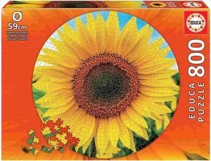 PUZZLE EDUCA SUNFLOWER 800  [19034]