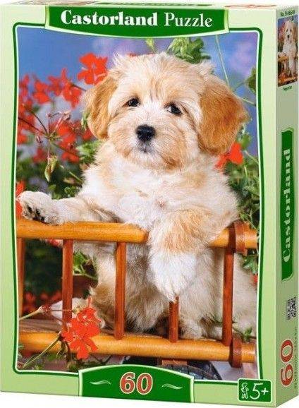 PUPPY IN CART CASTORLAND 60 ΚΟΜΜΑΤΙΑ
