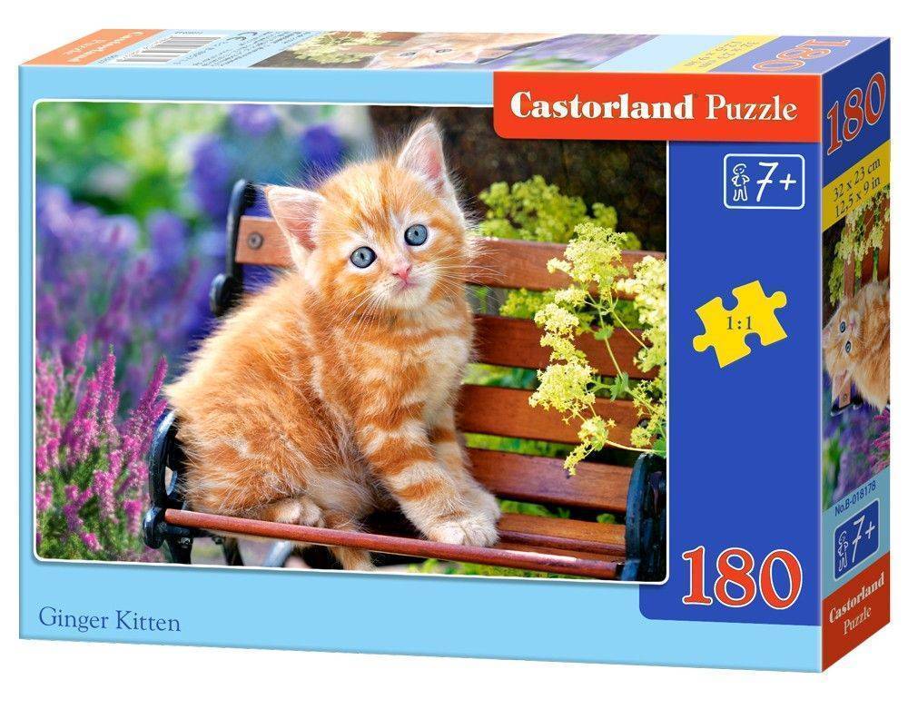 GINGER KITTEN CASTORLAND 180 ΚΟΜΜΑΤΙΑ
