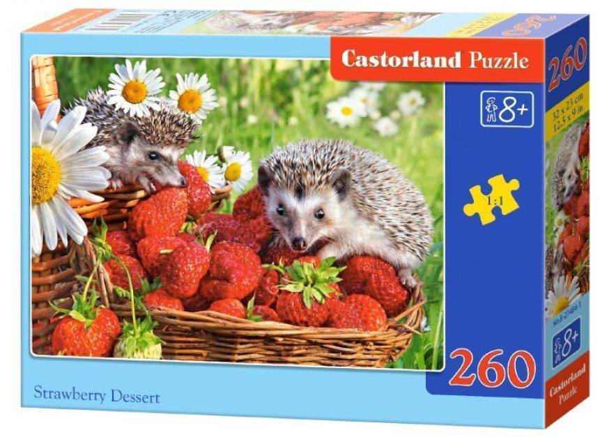 STRAWBERRY DESSERT CASTORLAND 260 ΚΟΜΜΑΤΙΑ