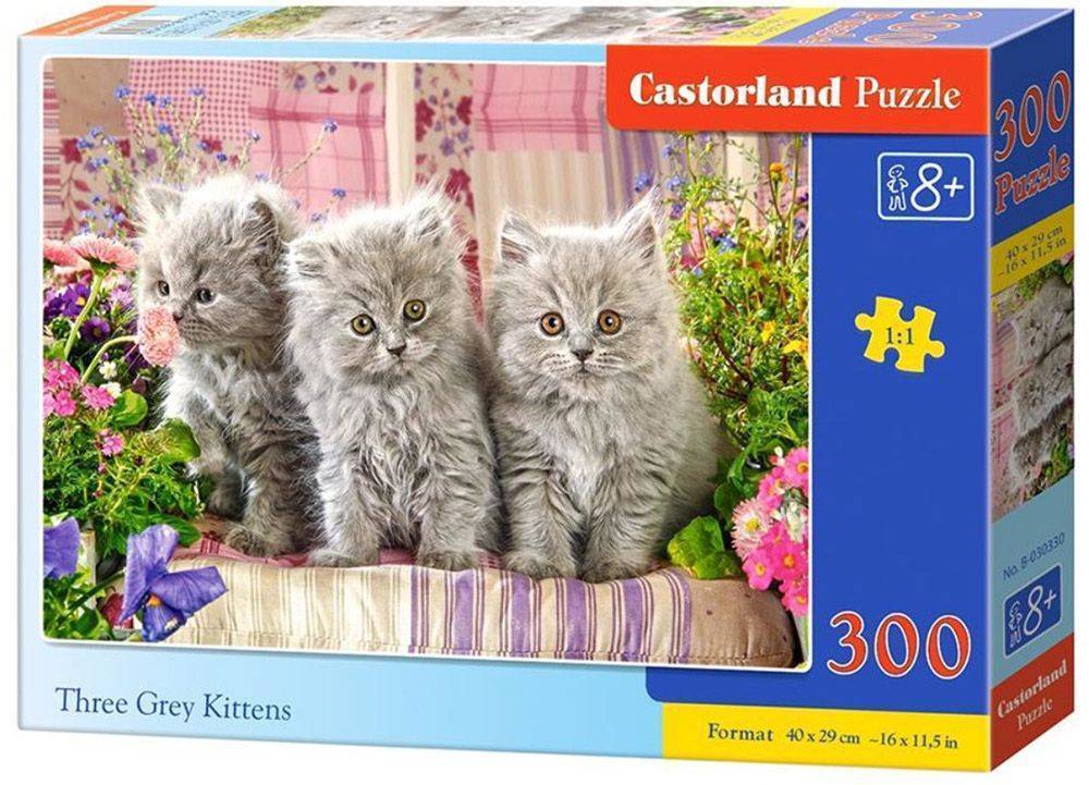THREE GREY KITTENS CASTORLAND 300 ΚΟΜΜΑΤΙΑ