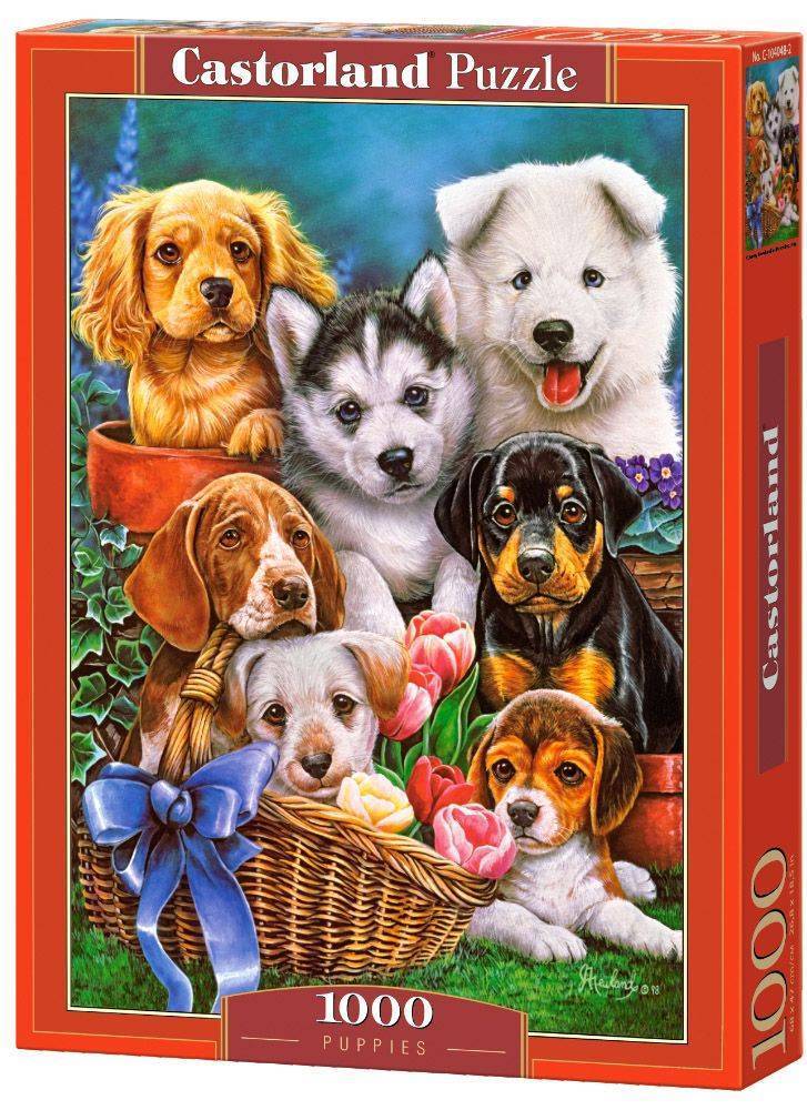 PUPPIES CASTORLAND 1000 ΚΟΜΜΑΤΙΑ