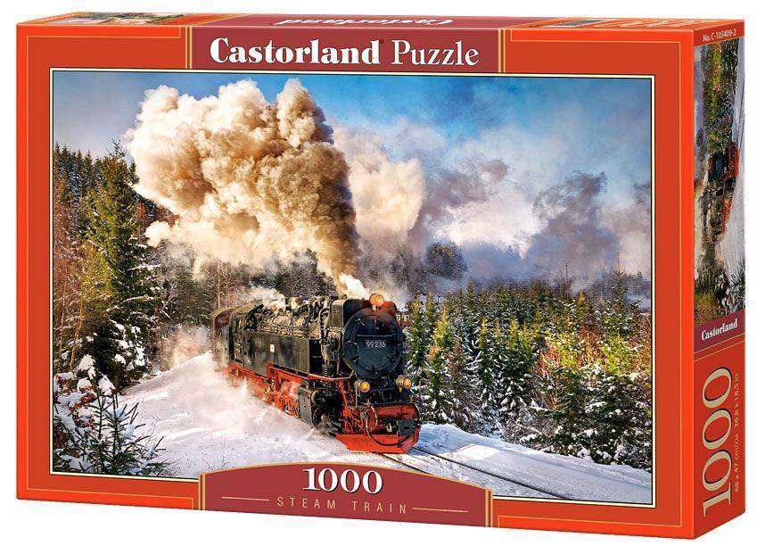 STEAM TRAIN CASTORLAND 1000 ΚΟΜΜΑΤΙΑ