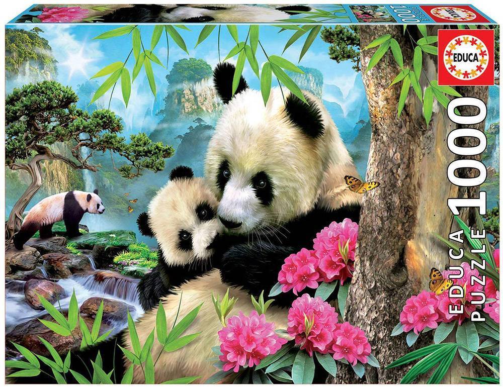 MORNING PANDA EDUCA 1000 ΚΟΜΜΑΤΙΑ