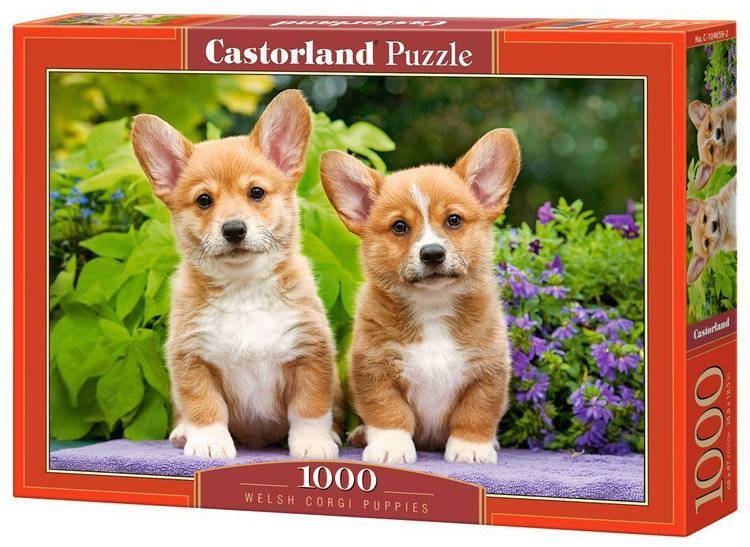 WELSH CORGI PUPPIES CASTORLAND 1000 ΚΟΜΜΑΤΙΑ