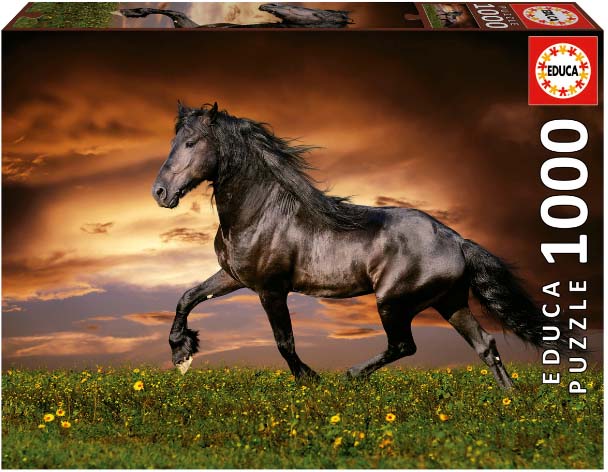 EDUCA TROTTING HORSE EDUCA 1000 ΚΟΜΜΑΤΙΑ