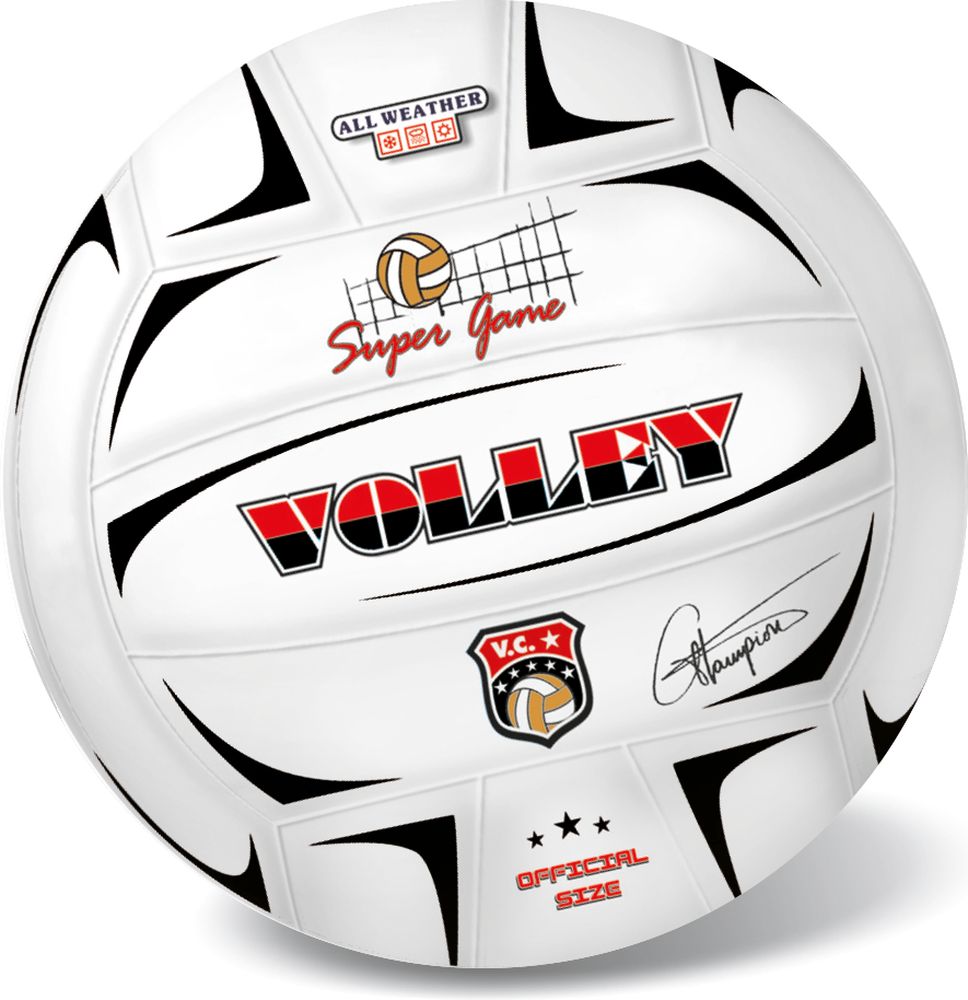 ΜΠΑΛΑ VOLLEY CHAMPIONS 21CM