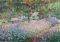 LE JARDIN DE MONET - 1500 ��������