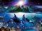 RAVENSBURGER ��������� ������� 2000 ��������
