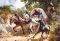 COVERED WAGON IN A NARROW PATH - 3000 ...