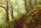 MAGIC FORESTS PATHS HEYE 1000 KOMMATIA