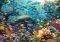   RAVENSBURGER PUZZLE AUGM...