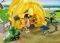 PLAYMOBIL   5435