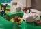 PLAYMOBIL      5423