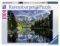   RAVENSBURGER 1000 