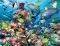   RAVENSBURGER PUZZLE  2000 ...