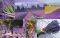   RAVENSBURGER PUZZLE  3000 ...