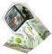 DINOSAURS V-CUBE WILDLIFE AND NATURAL PILLOW 22