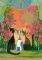  HEYE 2000  [29721]