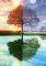 THE SEASONS TREE SCHMIDT 500 �������� [58223]