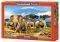 KILIMANJARO MORNING CASTORLAND 1000 ��������
