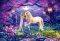 UNICORN GARDEN CASTORLAND 1000 