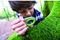       HAPE NATURE DETECTIVE SET 2 