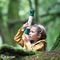  HAPE HIDE-AND-SEEK PERISCOPE 1 