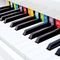      30  HAPE DELUXE WHITE GRAND PIANO