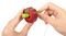         HAPE CATERPILLAR FRUIT FEAST SET (15 )