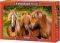 HORSE FRIENDS CASTORLAND 1000 