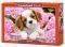 PUP IN PINK FLOWERS CASTORLAND 500 ��������
