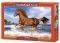 HORSE ON THE BEACH CASTORLAND 500 