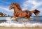 HORSE ON THE BEACH CASTORLAND 500 