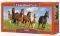 HORSE PARADISE CASTORLAND 600 