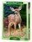 BABY DEER CASTORLAND 120 ��������