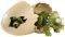 JURASSIC WORLD HATCHLINGS   [...